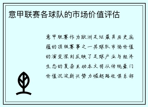 意甲联赛各球队的市场价值评估