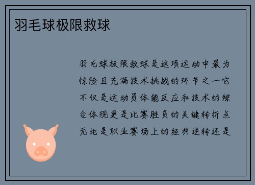 羽毛球极限救球